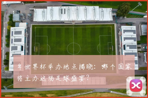 年世界杯举办地点揭晓：哪个国家将主办这场足球盛宴？
