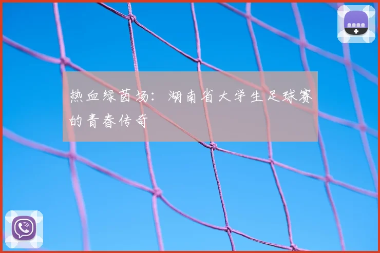 热血绿茵场：湖南省大学生足球赛的青春传奇